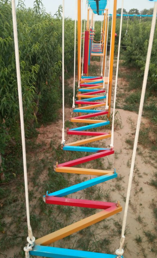 1639534332896463.png 組合...png